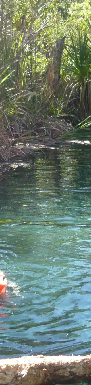 Erfrische dich in Mataranka